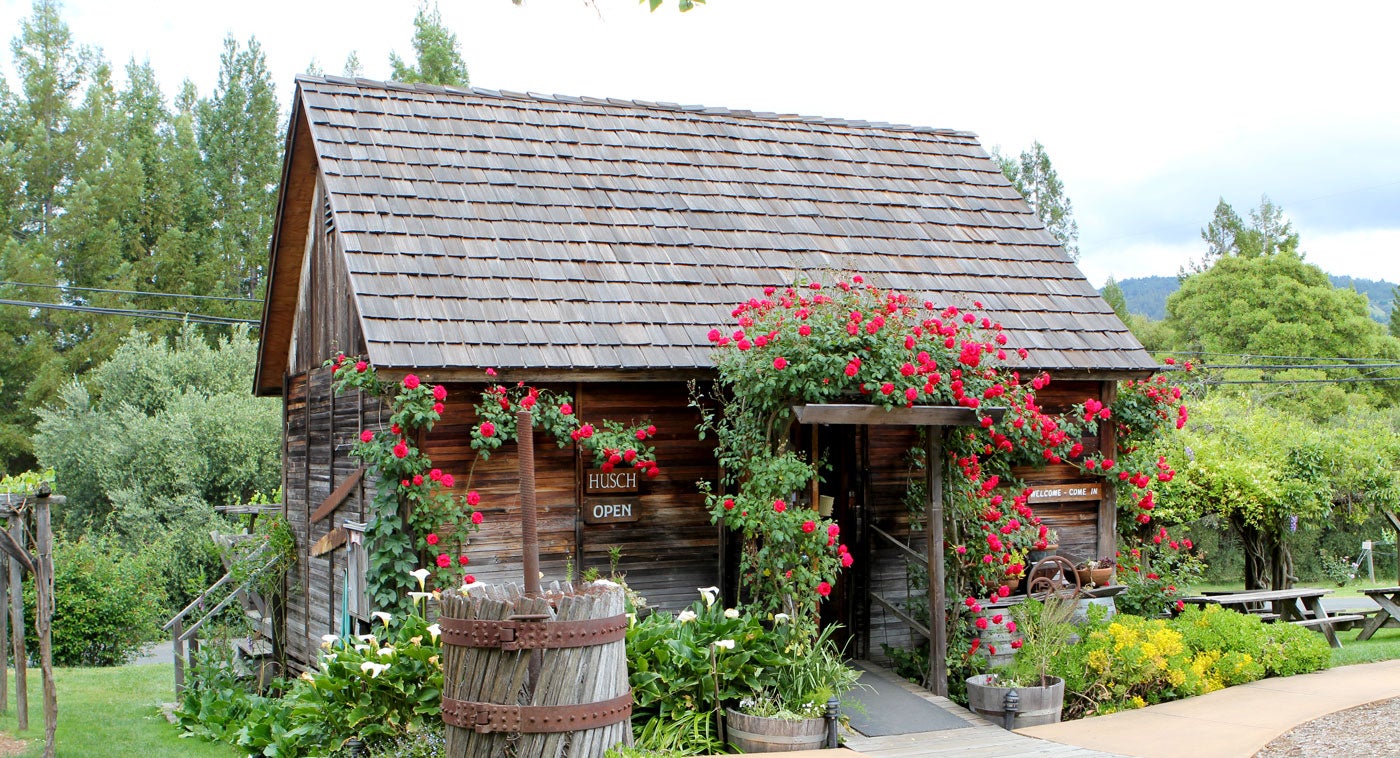                             Husch Vineyards, the valley&#x2019;s oldest winery