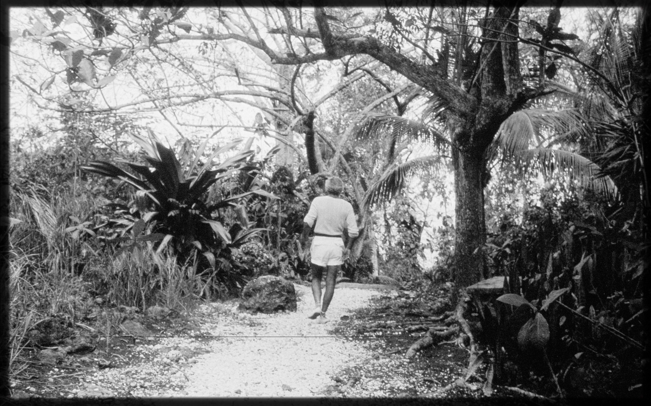 The view from White Orchid, Ralph Lauren&#x2019;s oceanside cottage in Round Hill, Jamaica