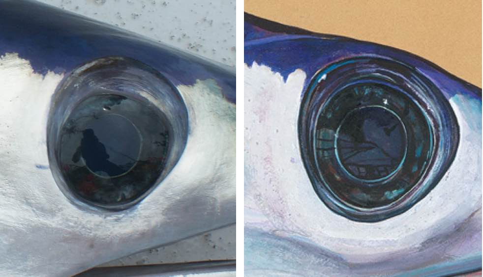             <strong>MIRROR IMAGE</strong><br />            <span              >Swordfish have unusually large eyes, which help them forage at              great depths; side-by-side comparison of the photo that inspired              the painting; and, below, Prosek takes notes aboard a fishing              boat.</span            >          