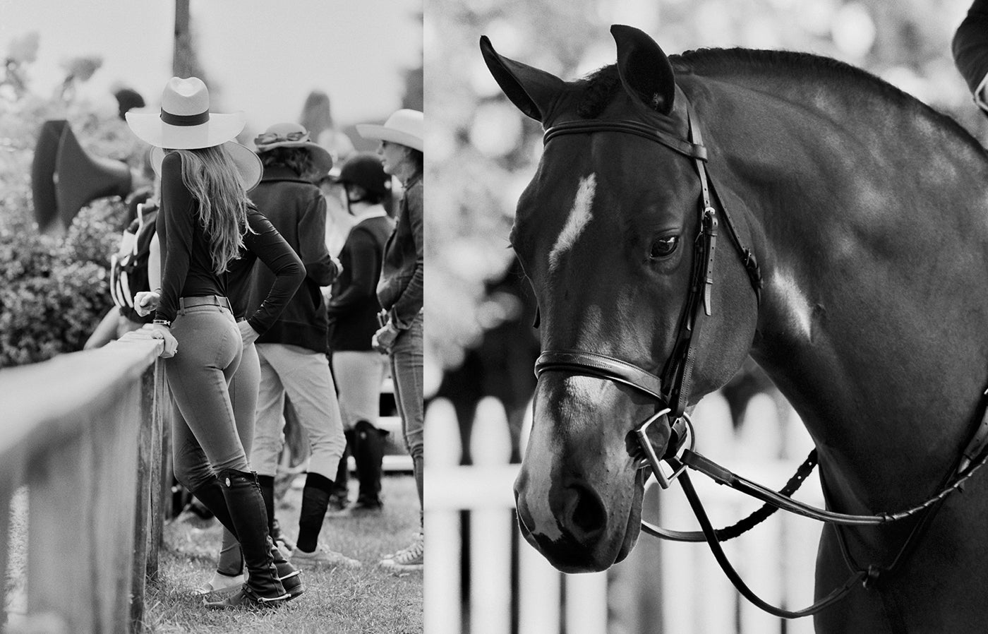 Die Hampton Classic Horse Show