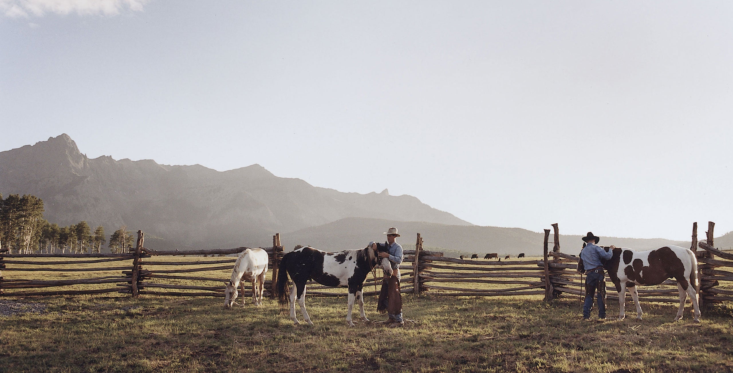 <span lang="DE">Die Double RL Ranch, die sich &#xFC;ber rund 6.900&#xA0;Hektar in Colorado erstreckt, liefert Rindfleisch f&#xFC;r Ralph Laurens Restaurants in New York und Chicago</span>