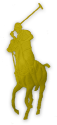 POLO logo